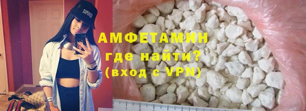 крисы Кулебаки