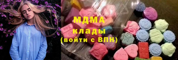 крисы Кулебаки