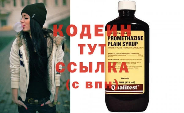 крисы Кулебаки