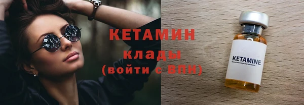 крисы Кулебаки