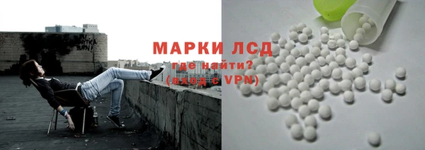 крисы Кулебаки