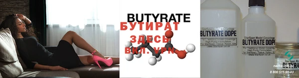 крисы Кулебаки