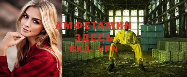 крисы Кулебаки