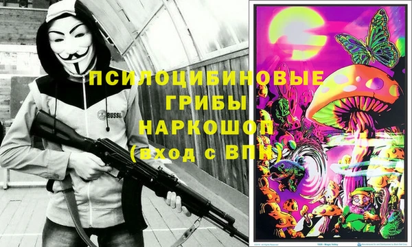 крисы Кулебаки