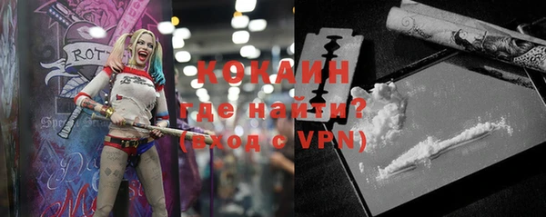 крисы Кулебаки