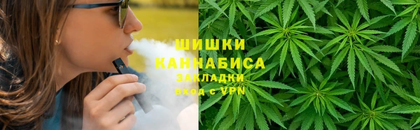 крисы Кулебаки